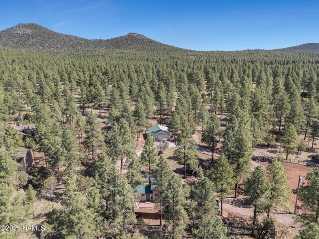 363 N Stoneman Blvd, Williams, AZ 86046 - photo 28