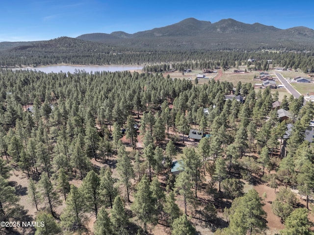 363 N Stoneman Blvd, Williams, AZ 86046 - photo 25