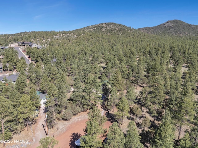 363 N Stoneman Blvd, Williams, AZ 86046 - photo 29