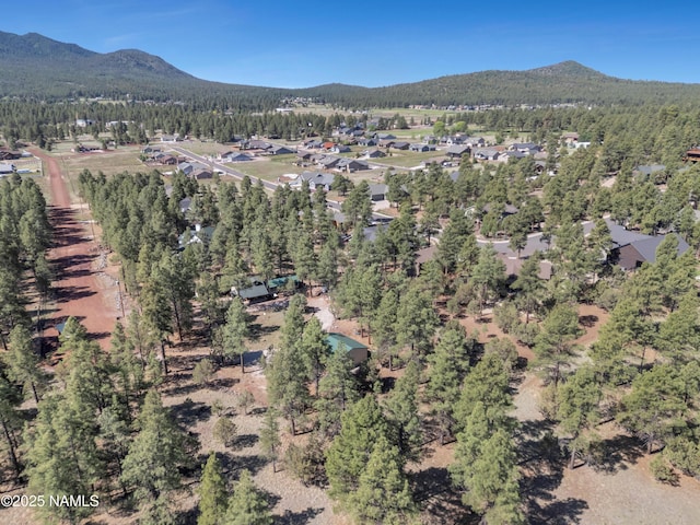 363 N Stoneman Blvd, Williams, AZ 86046 - photo 26