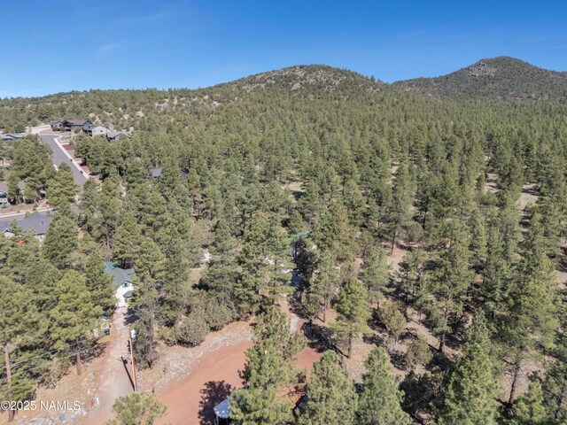 363 N Stoneman Blvd, Williams, AZ 86046 - photo 27