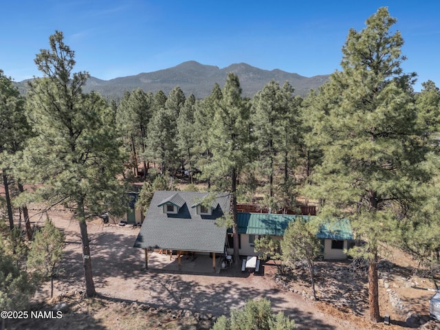 363 N Stoneman Blvd, Williams, AZ 86046 - photo 31