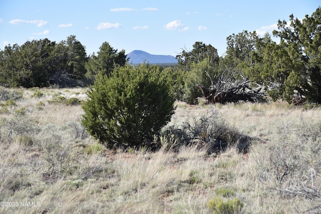 883 S Kenwood St, Williams, AZ 86046 - photo 2