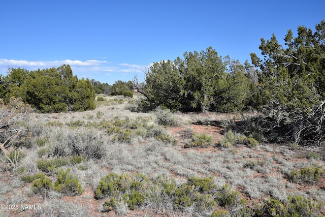 883 S Kenwood St, Williams, AZ 86046 - photo 3