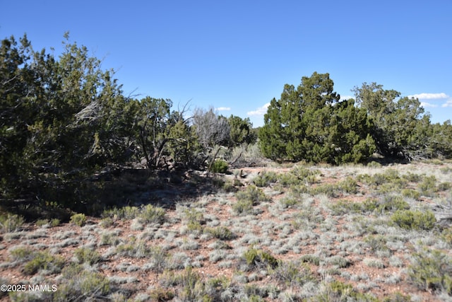 883 S Kenwood St, Williams, AZ 86046 - photo 4