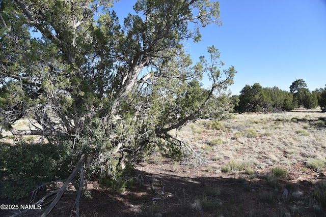 883 S Kenwood St, Williams, AZ 86046 - photo 6