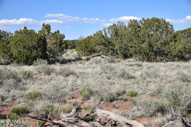 883 S Kenwood St, Williams, AZ 86046 - photo 5
