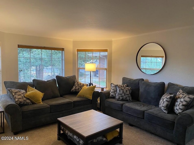 2596 S Cliffview St, Flagstaff, AZ 86001 - photo 20