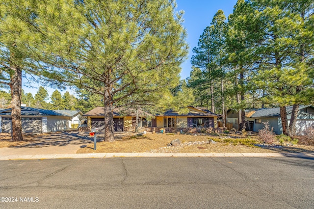 view of front of property with concrete driveway and an attached garage