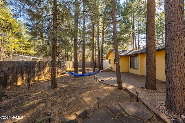 view of yard with a patio area and a fenced backyard