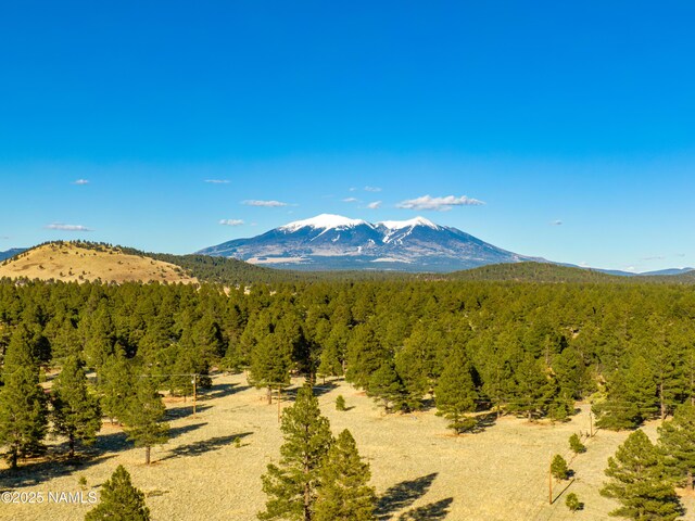 13833 Wild Bill Rd, Parks, AZ 86018 - photo 42