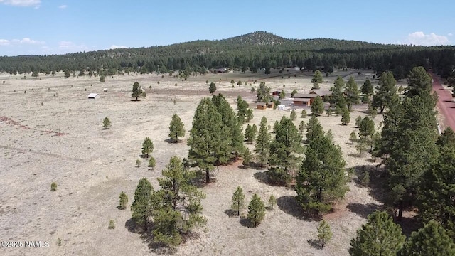 957 S Appaloosa Trl, Williams, AZ 86046 - photo 5