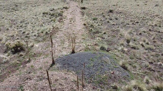957 S Appaloosa Trl, Williams, AZ 86046 - photo 9
