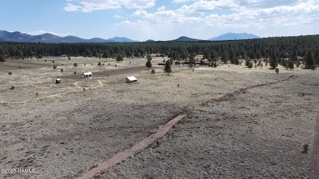 957 S Appaloosa Trl, Williams, AZ 86046 - photo 6