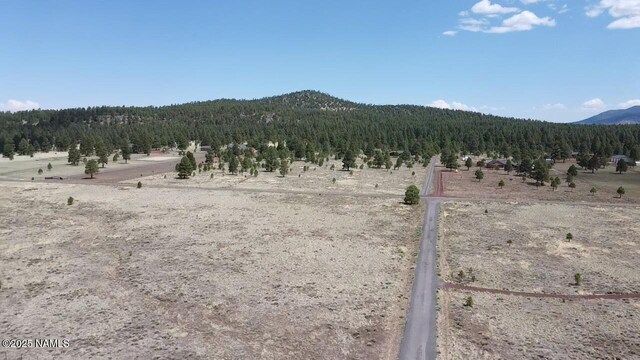 957 S Appaloosa Trl, Williams, AZ 86046 - photo 15
