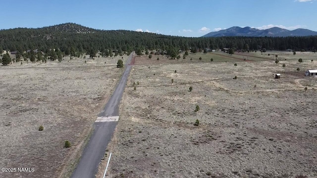 957 S Appaloosa Trl, Williams, AZ 86046 - photo 7