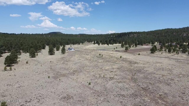 957 S Appaloosa Trl, Williams, AZ 86046 - photo 16