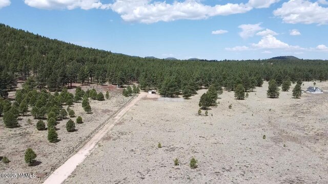 957 S Appaloosa Trl, Williams, AZ 86046 - photo 12