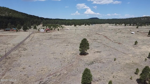 957 S Appaloosa Trl, Williams, AZ 86046 - photo 3
