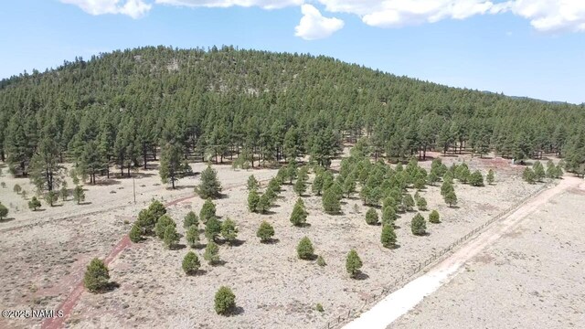 957 S Appaloosa Trl, Williams, AZ 86046 - photo 13