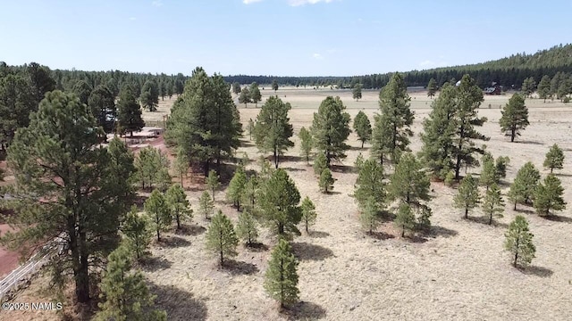 957 S Appaloosa Trl, Williams, AZ 86046 - photo 4
