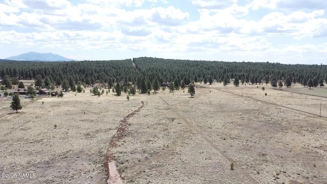 957 S Appaloosa Trl, Williams, AZ 86046 - photo 18
