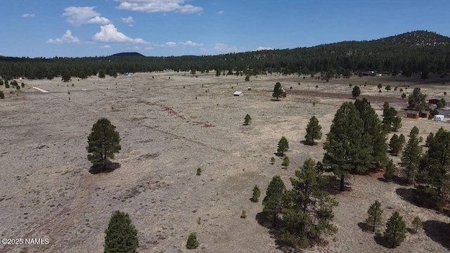 957 S Appaloosa Trl, Williams, AZ 86046 - photo 2
