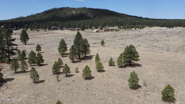 957 S Appaloosa Trl, Williams, AZ 86046 - photo 19