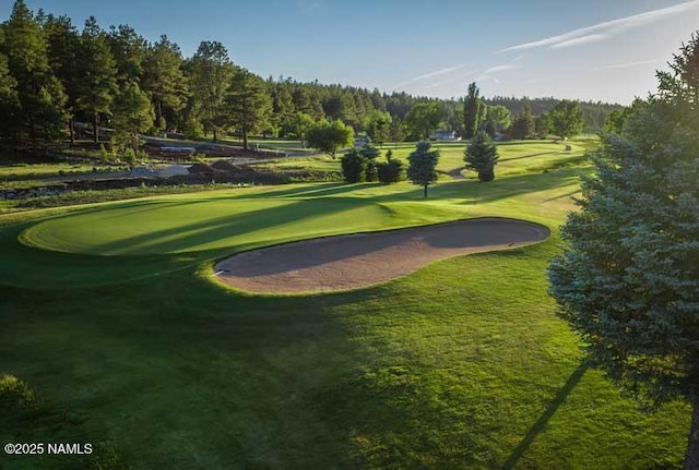 39 E Oak Dr, Munds Park, AZ 86017 - surrounding community featuring a yard and golf course view