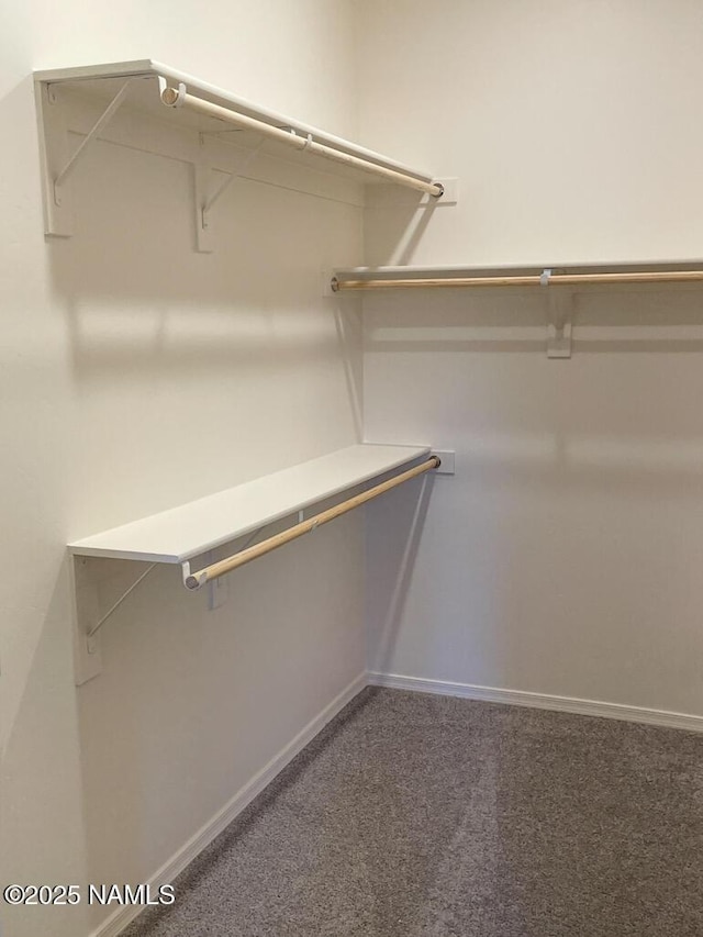 2950 W Presidio Dr Unit 101, Flagstaff, AZ 86001 - walk in closet with carpet flooring