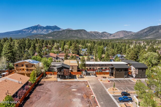 302 W Oak Ave Unit 1, Flagstaff, AZ 86001 - view of mountain background