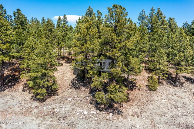 5552 White Tail Ln, Flagstaff, AZ 86005 - view of landscape featuring a forest view