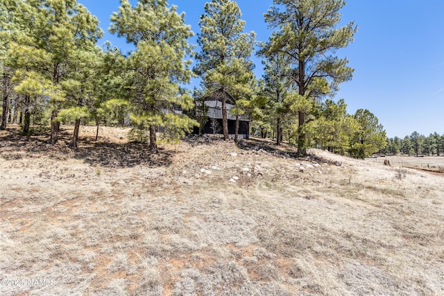 5552 White Tail Ln, Flagstaff, AZ 86005 - view of yard
