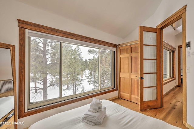 bedroom with light hardwood / wood-style flooring, a closet, and vaulted ceiling