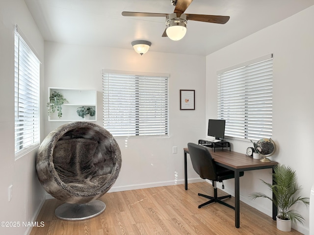 office space with light hardwood / wood-style floors and ceiling fan