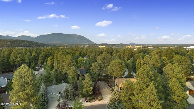 2298 S Highland Mesa Rd, Flagstaff, AZ 86001 - photo 45