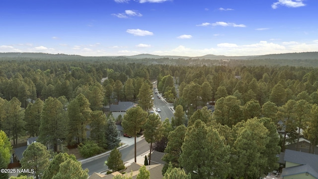 2298 S Highland Mesa Rd, Flagstaff, AZ 86001 - photo 50