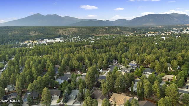 2298 S Highland Mesa Rd, Flagstaff, AZ 86001 - photo 49