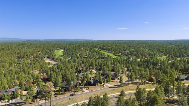 2645 E Telluride Dr, Flagstaff, AZ 86005 - photo 49