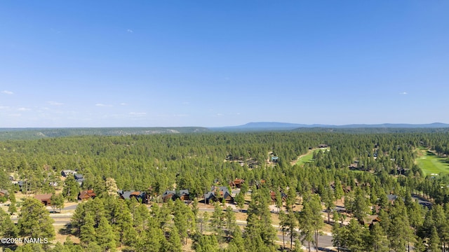 2645 E Telluride Dr, Flagstaff, AZ 86005 - photo 52