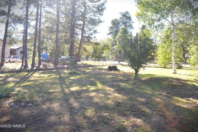 509 S 11th St, Williams, AZ 86046 - photo 32