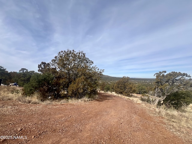 view of local wilderness