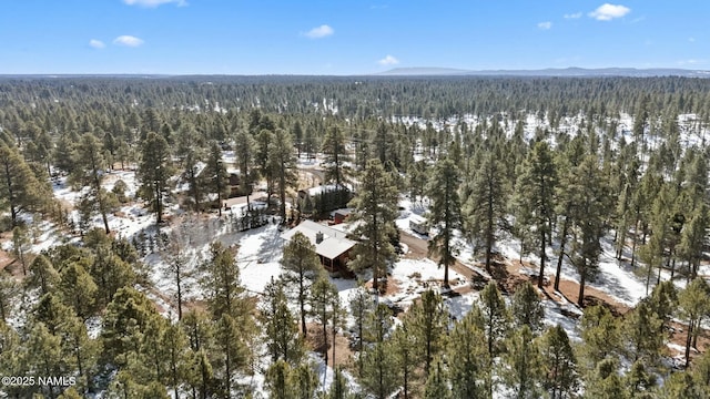 drone / aerial view featuring a mountain view and a wooded view