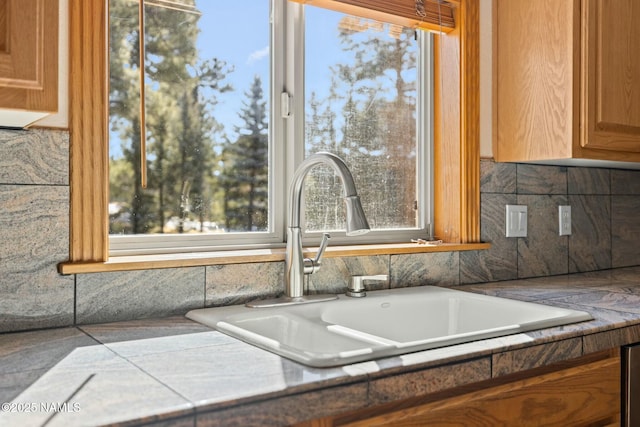 room details featuring tasteful backsplash and a sink