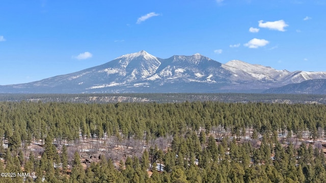 property view of mountains featuring a view of trees