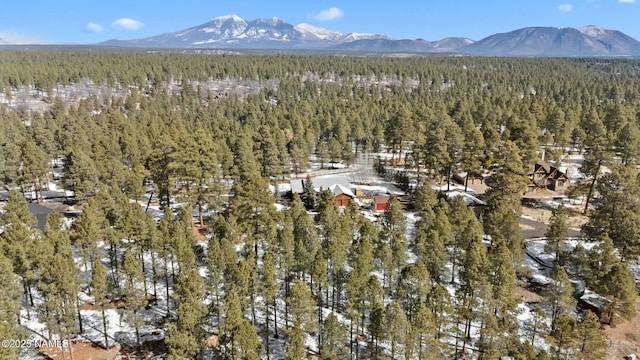 birds eye view of property with a view of trees and a mountain view