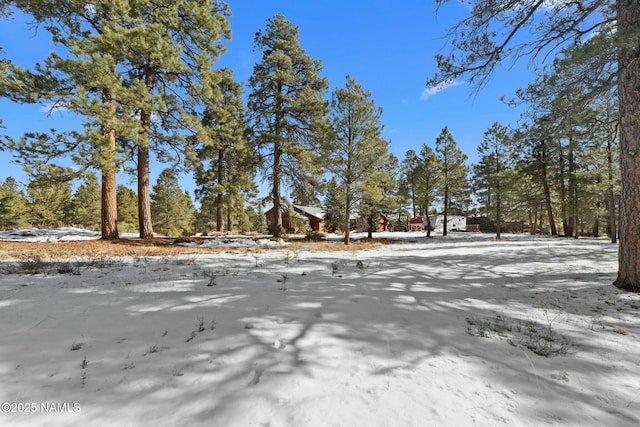 view of yard covered in snow