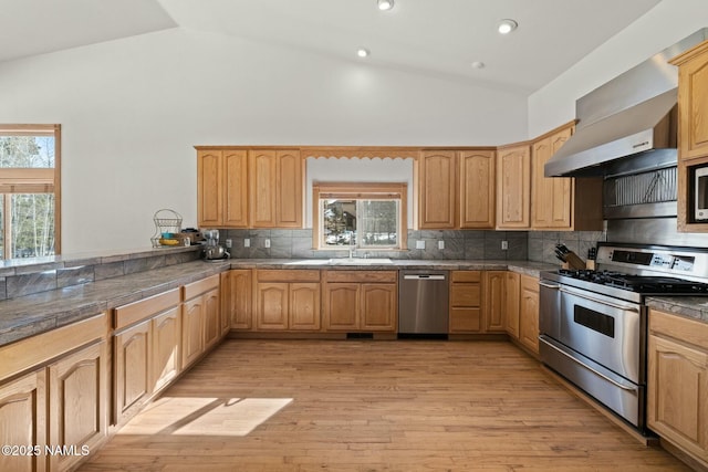 kitchen featuring plenty of natural light, backsplash, stainless steel appliances, light wood-style floors, and lofted ceiling