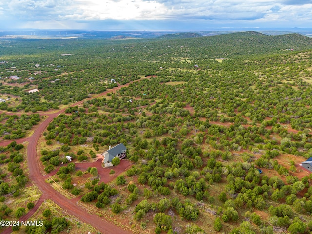 drone / aerial view with a mountain view