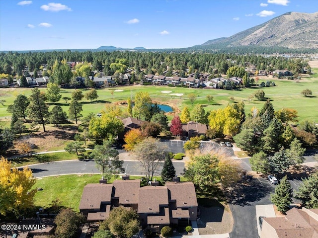 birds eye view of property with a mountain view